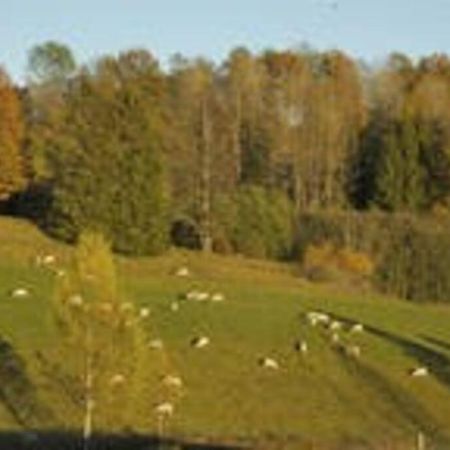 Idyllic Small Farm Appartment Тёнсберг Экстерьер фото